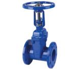 明桿彈性座封閘閥Z41X