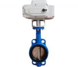 電動(dòng)軟密封對夾蝶閥D971X